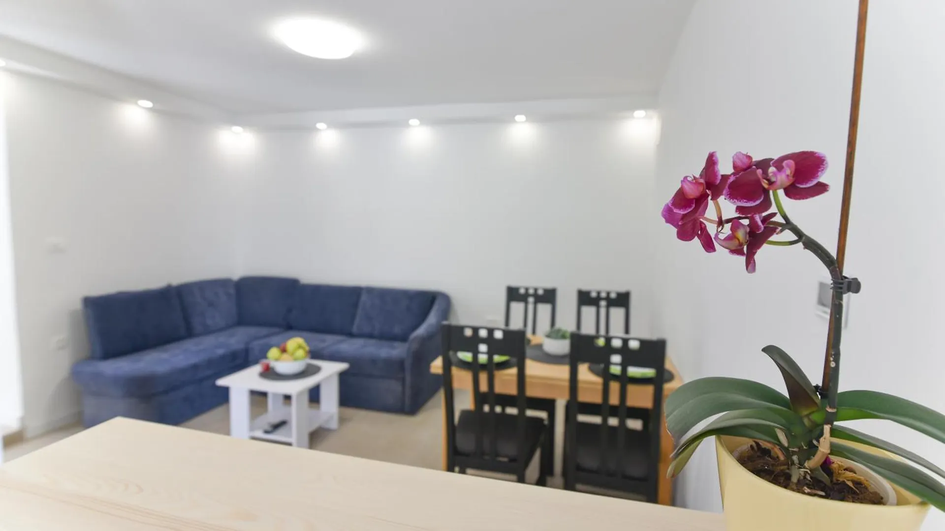 Apartment Orleancic Laurana